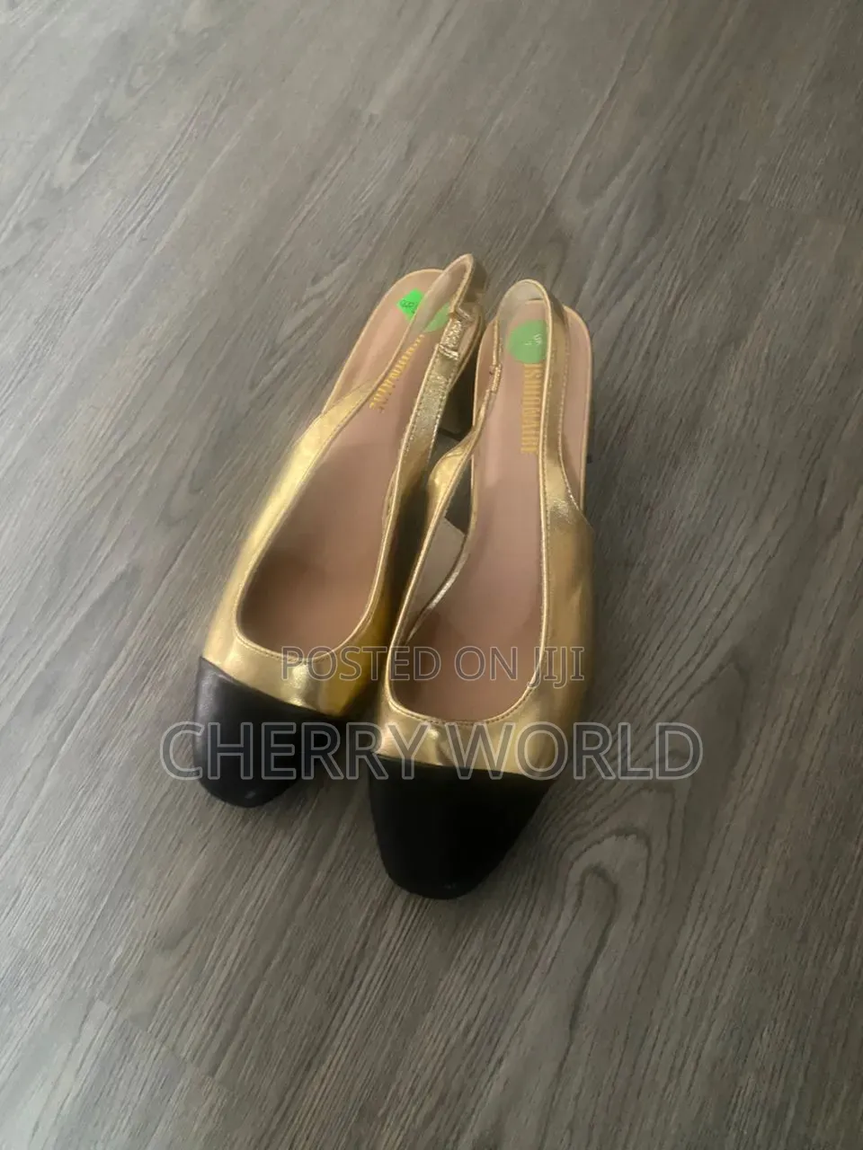 Cushionaire Shoes