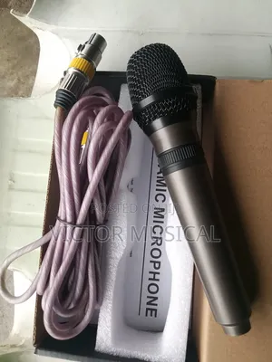 Professional Wired Mic