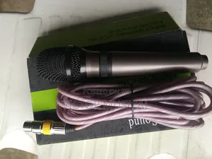 Professional Wired Mic