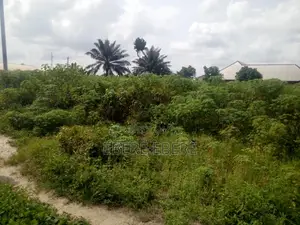 2 Plots of Land in Owerri.