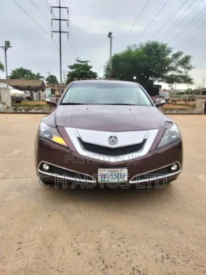 Acura ZDX Base AWD 2011 Brown