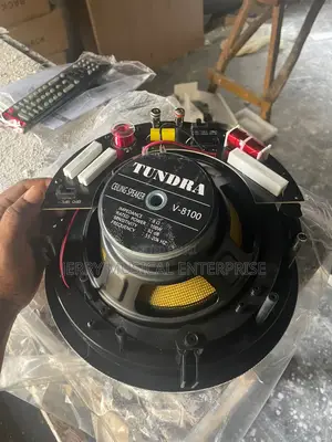 Tundra 100w Passive in-Ceiling Speakers With Woofer
