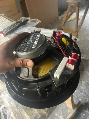 Tundra 100w Passive in-Ceiling Speakers With Woofer