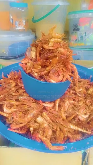 Fresh Dry Seafood In Agbowo Ui Ibadan Catfish, Bonga, Crayfish, Prawns