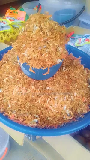 Fresh Dry Seafood In Agbowo Ui Ibadan Catfish, Bonga, Crayfish, Prawns