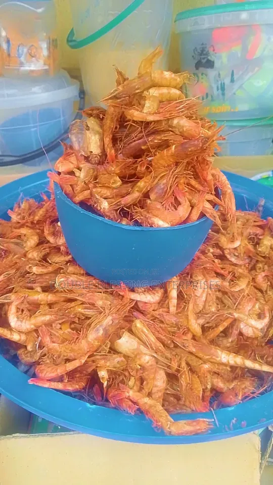 Fresh Dry Seafood In Agbowo Ui Ibadan Catfish, Bonga, Crayfish, Prawns