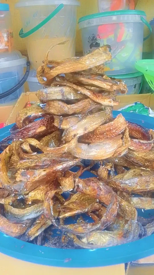 Fresh Dry Seafood In Agbowo Ui Ibadan Catfish, Bonga, Crayfish, Prawns
