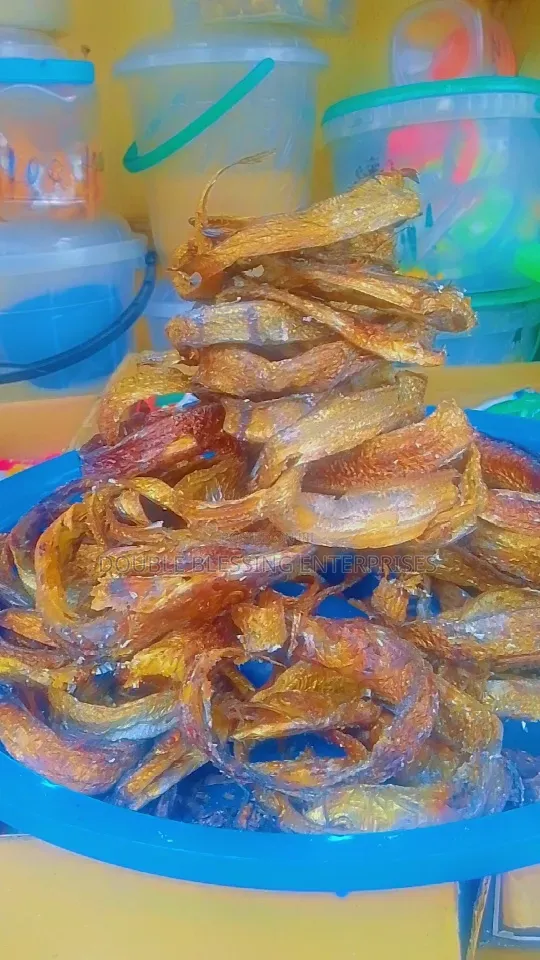 Fresh Dry Seafood In Agbowo Ui Ibadan Catfish, Bonga, Crayfish, Prawns