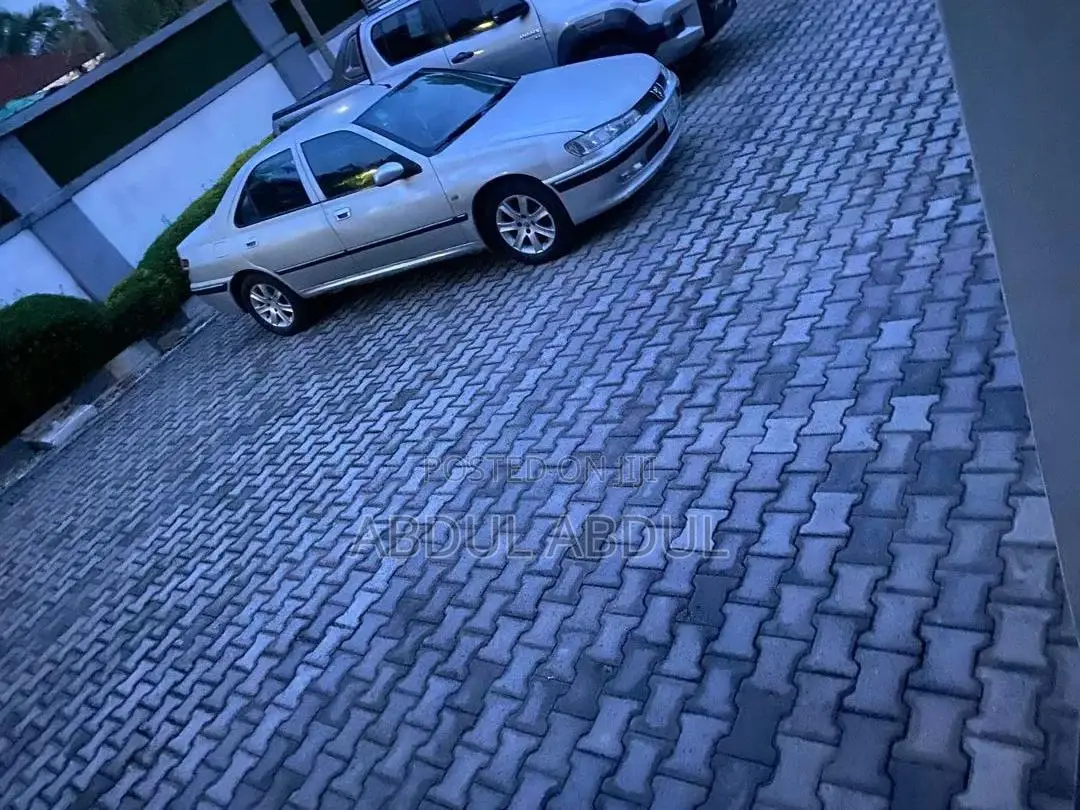 Peugeot 406 2009 Silver