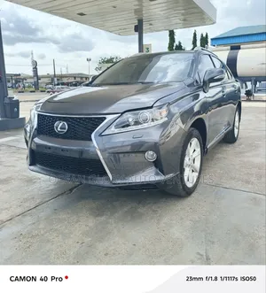 Lexus RX 2010 Gray