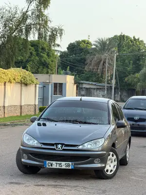 Peugeot 206 2004 Gray
