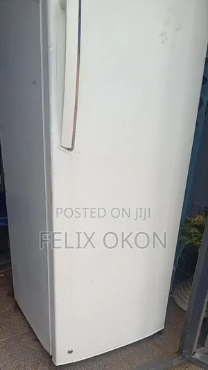 Refrigerator Standing Freezer
