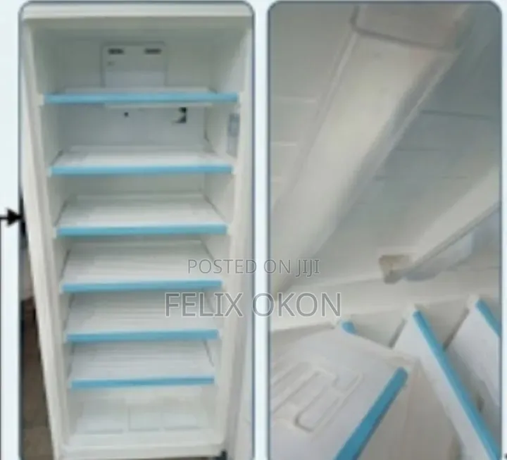 Refrigerator Standing Freezer