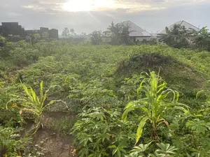 Standard One Plot of Land for Sale Uyo