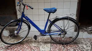 Dan Gana Bicycle