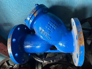 Dn100 (4") Y-Strainer Used for Filtering Debris Out of Fluid Systems