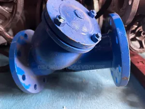 Dn100 (4") Y-Strainer Used for Filtering Debris Out of Fluid Systems