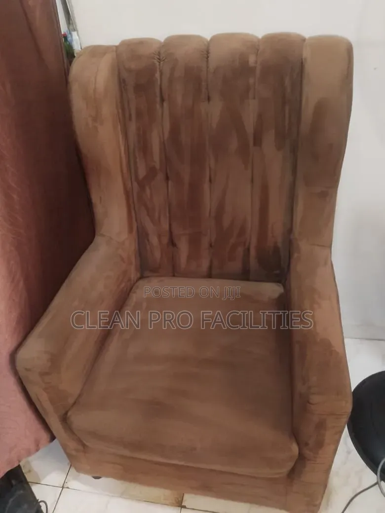 Sofa Cleaning