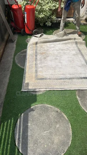 Restore Your Couch and Rug