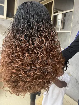 Braided Wigs