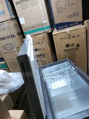 Budget-Friendly Frozen Storage: Hisense Fc340sh 250l