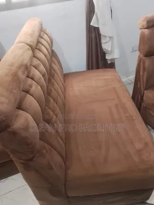 Detailed Sofa and Carpet Cleaning Company