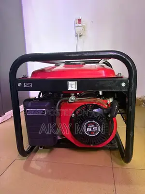 Clean Senwei Petrol Generator