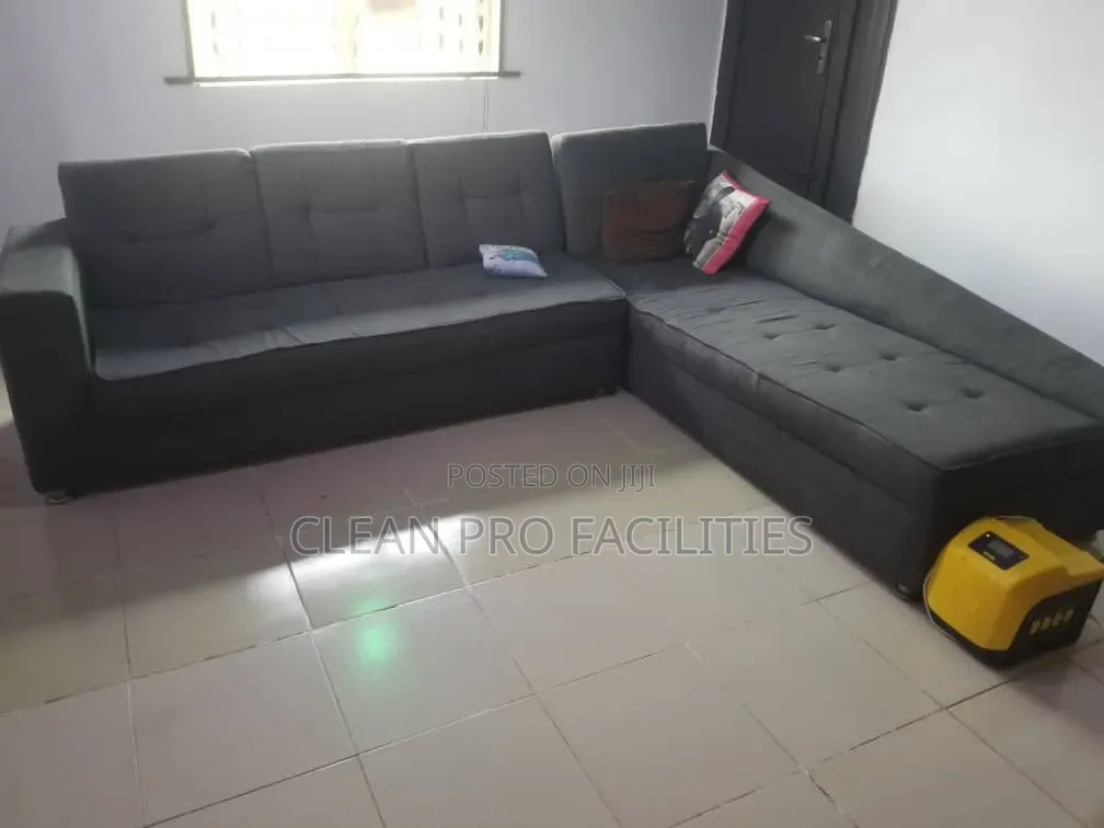 Best Sofa/ Rug Deep Cleaning