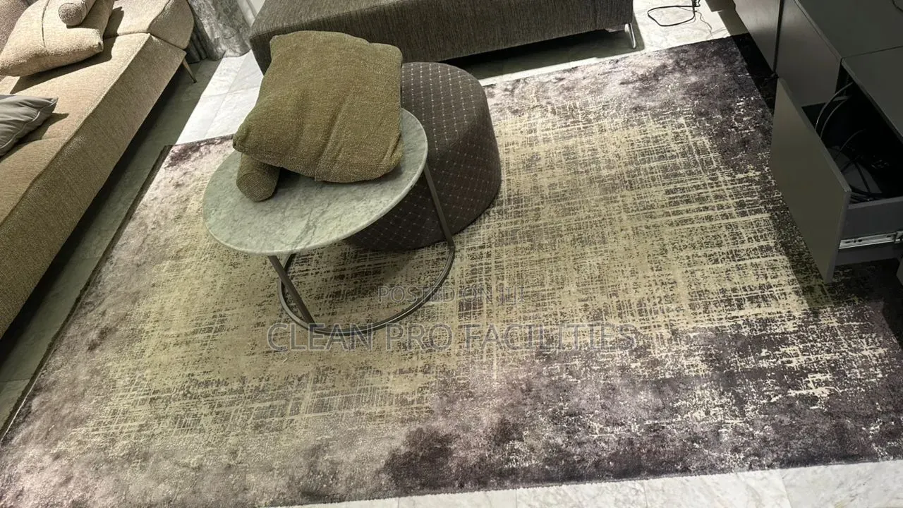 Best Sofa/ Rug Deep Cleaning