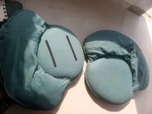 Professional Sofa Cleaning