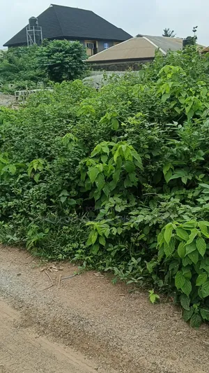 Land Plot for Sale