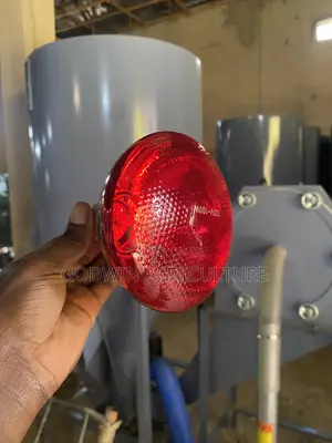 Brooding Lamp