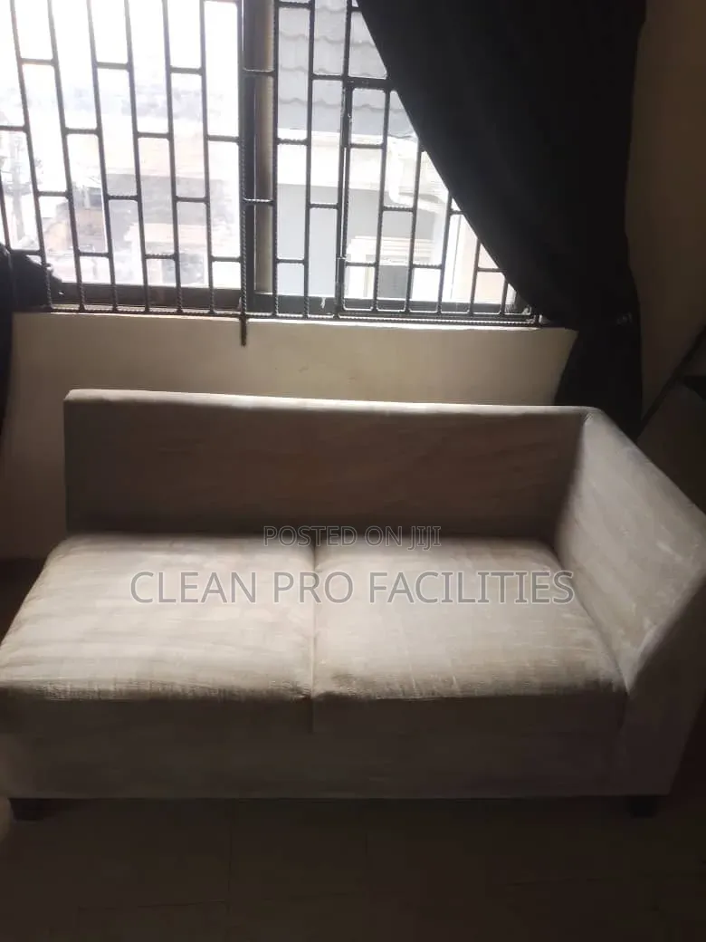 Restore Your Rug and Sofa Cleaning Services