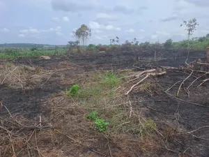 Acre of Land for Sale by Plots