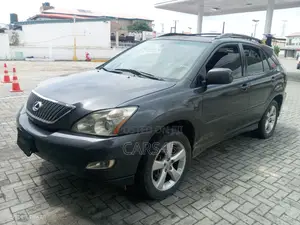 Lexus RX 2005 Gray
