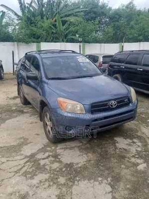 Toyota RAV4 2009 Blue