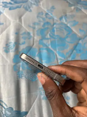 Apple iPhone 15 Pro Max 256 GB Silver