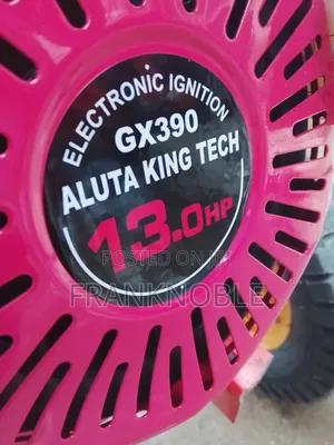 Aluta King Tech Branded Gasoline Pump Engine