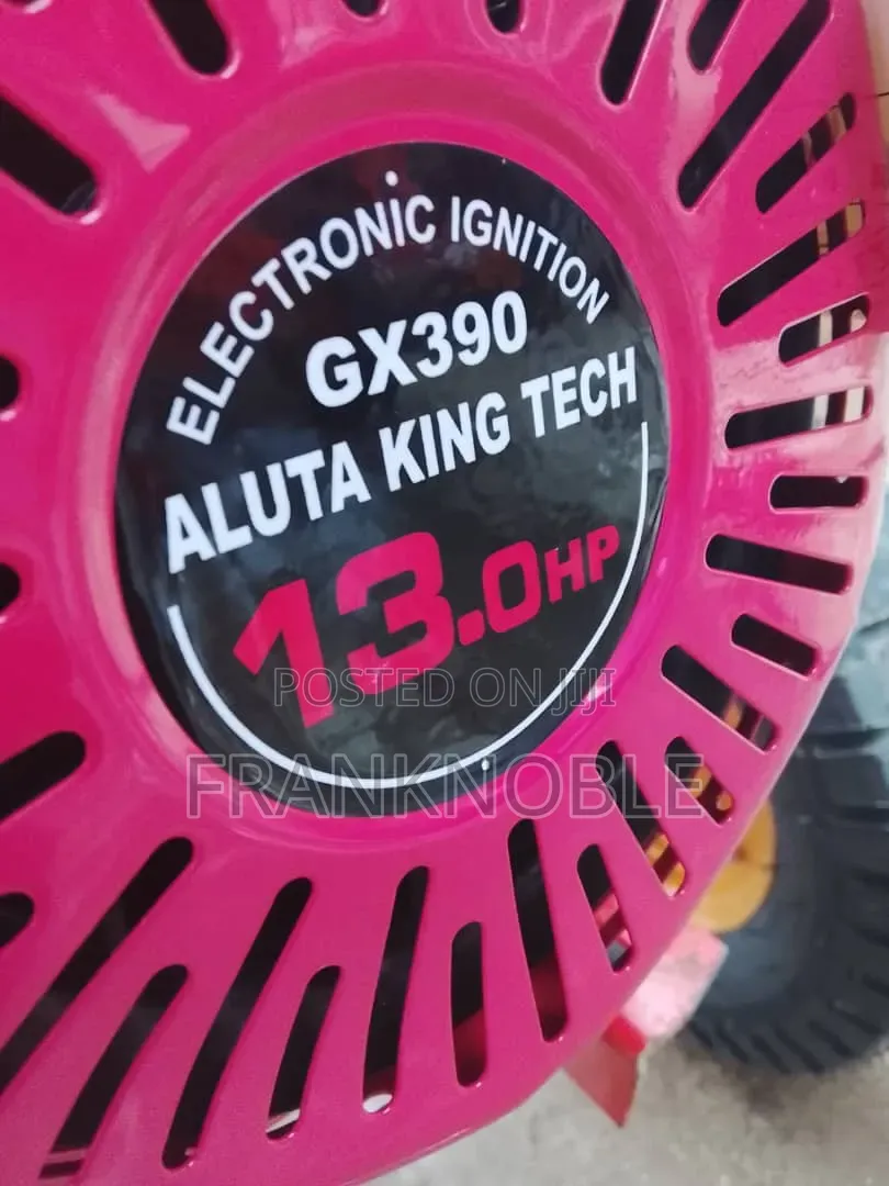 Aluta King Tech Branded Gasoline Pump Engine