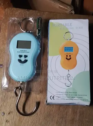 50kg Portable Hanging
