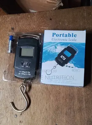 Portable Electronic Luggage Scale 50kg