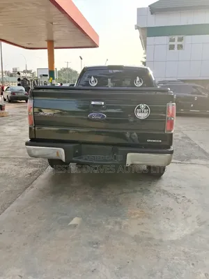 Ford F-150 2014 Gray