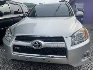 Toyota RAV4 2010 Silver