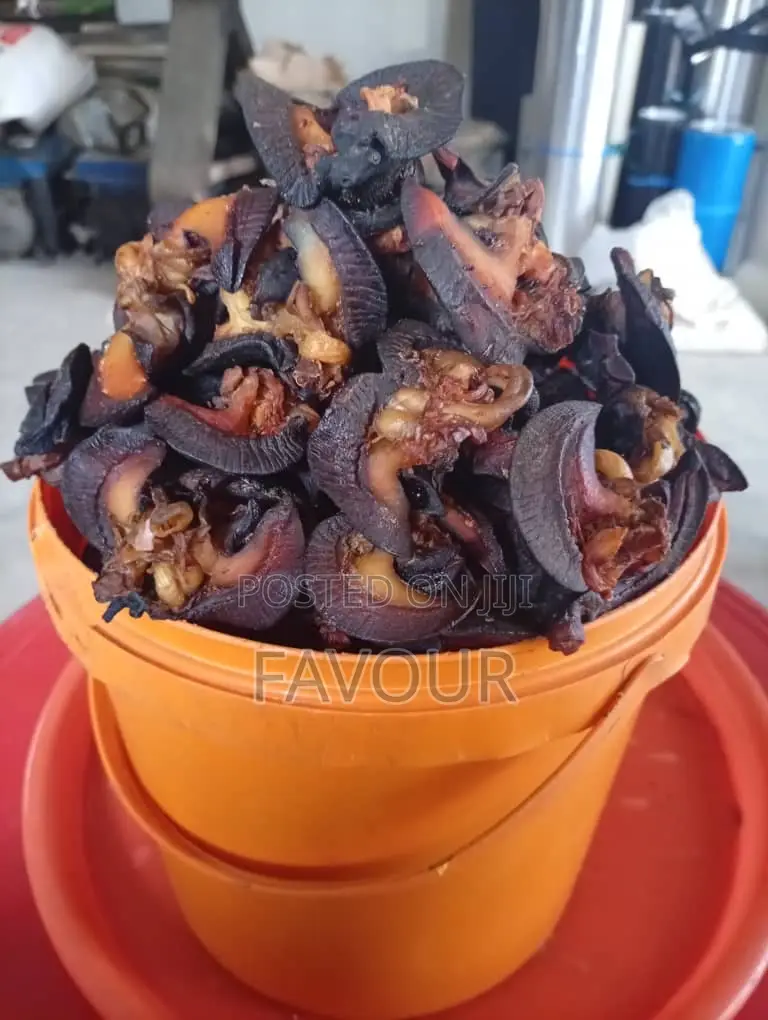 Dehydrated Snails Export Standard