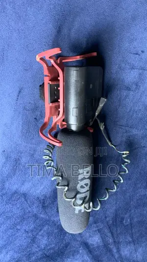 Rode Professional Condenser Microphone