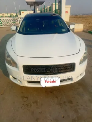 Nissan Maxima 2010 White