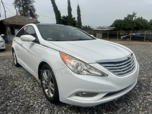 Hyundai Sonata 2013 White