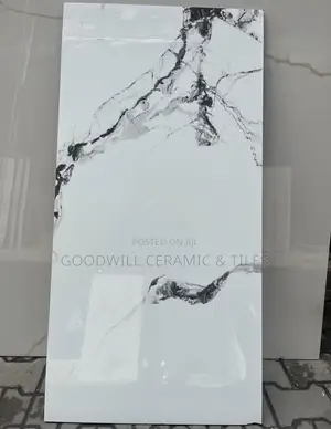 Goodwill Arav White Porcelain 60x120 Tiles