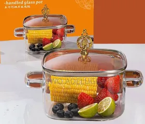 Borosilicate Glass Pot
