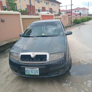 Skoda Fabia 2007 Gray
